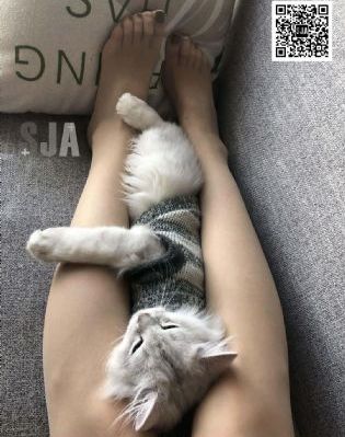 性生交大片免费看12_BD国语在线手机播放