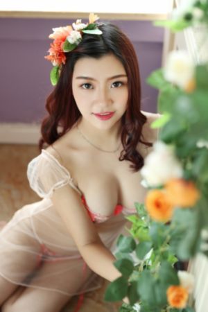 芳草地电视剧免费播放第38集_DVD免费全集观看